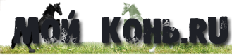 Сайт о лошадях - Мой Конь, лошади, все о лошадях, разные лошади.